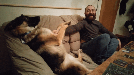 A man and a German shepherd sit on a couch. The man scratches the dog's belly. A man and a German shepherd sit on a couch. The man scratches the dog's belly.