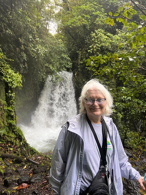 Images from the rainforest.