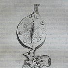 Part 2: Connecting Ovaries and Menopause