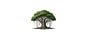 Banyan Lane Capital LLC