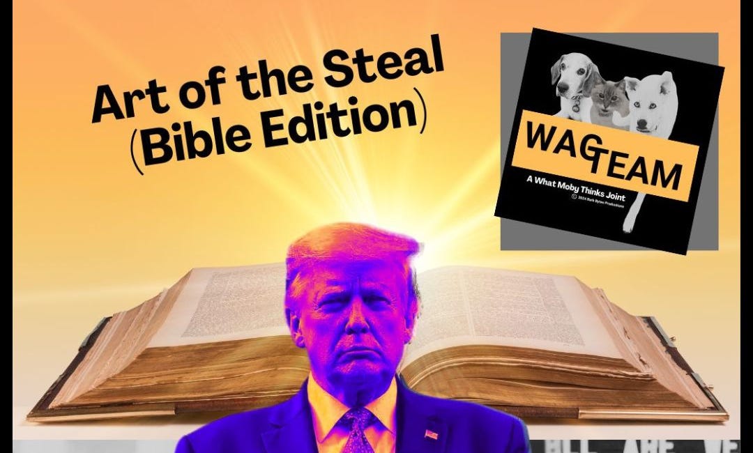 Art of the Steal (Bible Edition)