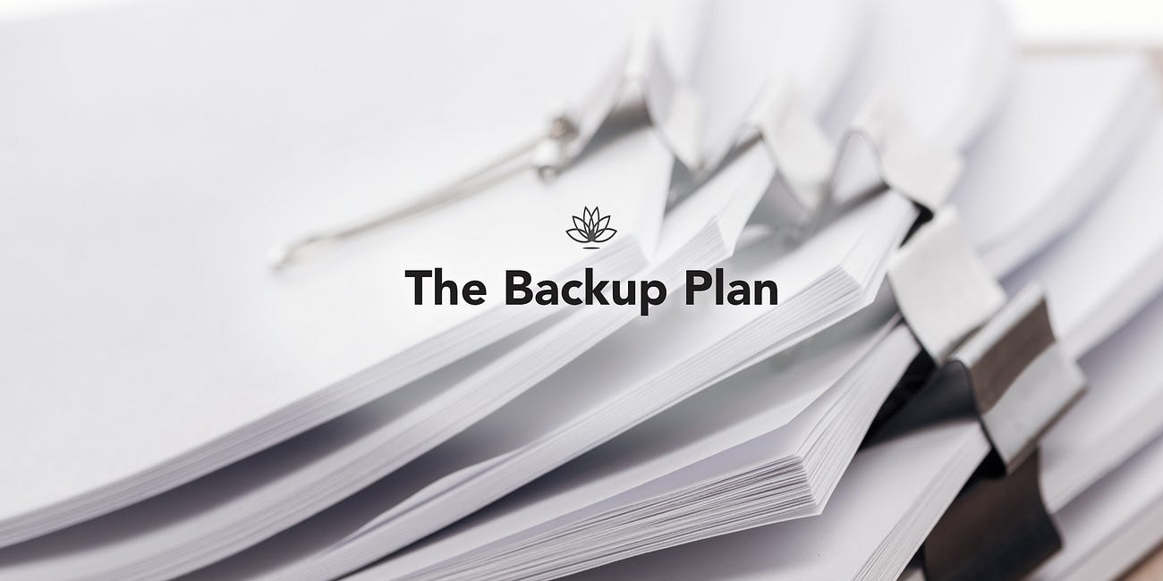 The Backup Plan