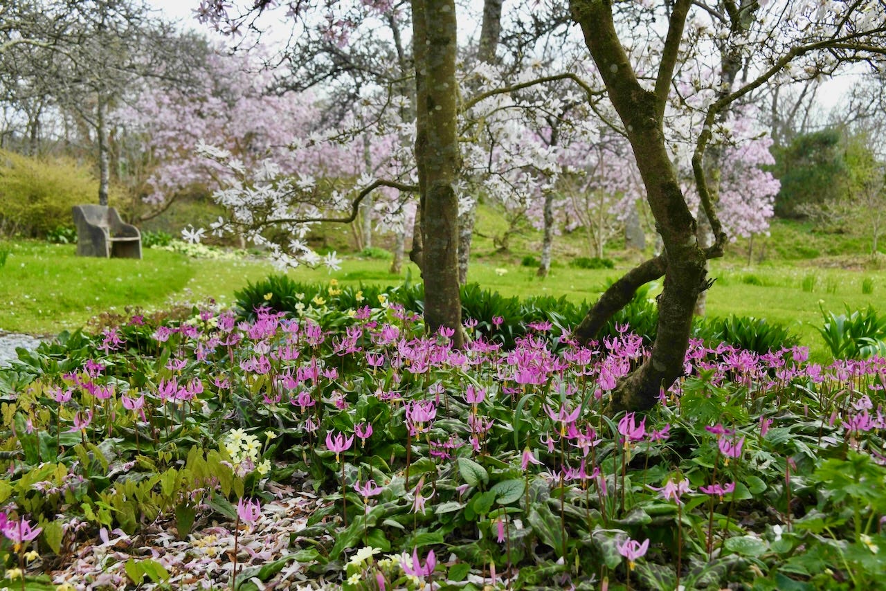 April at Keith Wiley’s Wildside in Devon