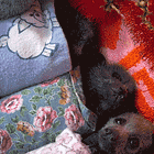 If You Have To Ask, You Can’t Afford A Bawitdaba: Tabs, Mon., Dec. 15, 2025