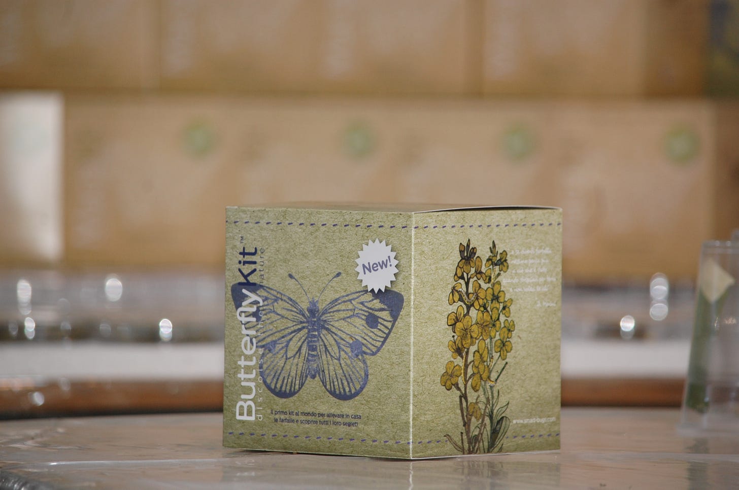 Smart Bugs: un mondo di insetti - Entomofago