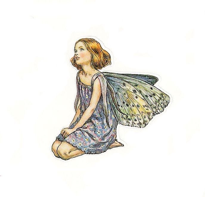 Letters To The Fairies 