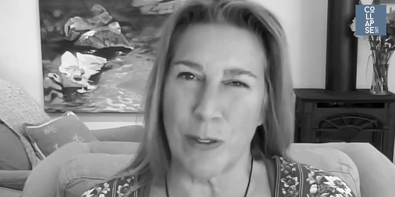 Save Our Skies | Reinette Senum