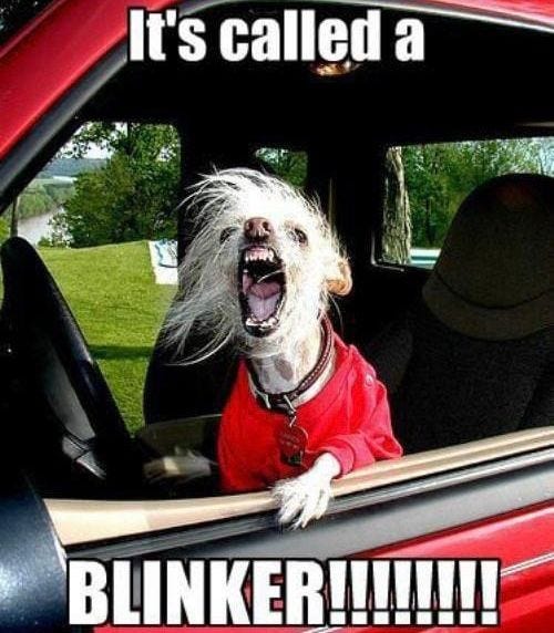 May be an image of car and text