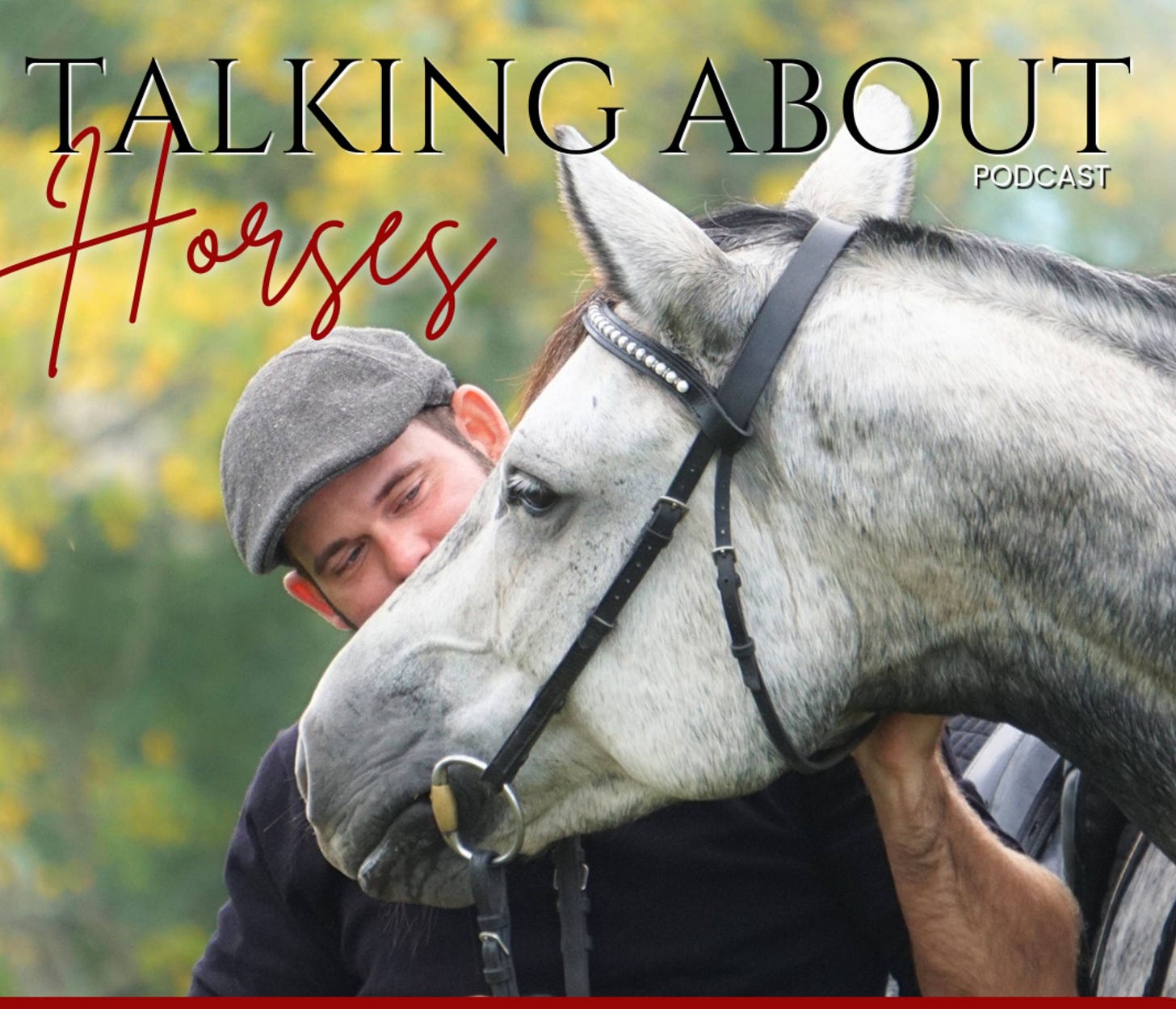 Talking About Horses