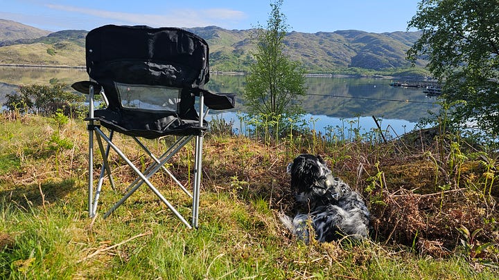 Land Rover Defender, camp chair and an English Setter dog.