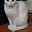 Anne Hallock's avatar