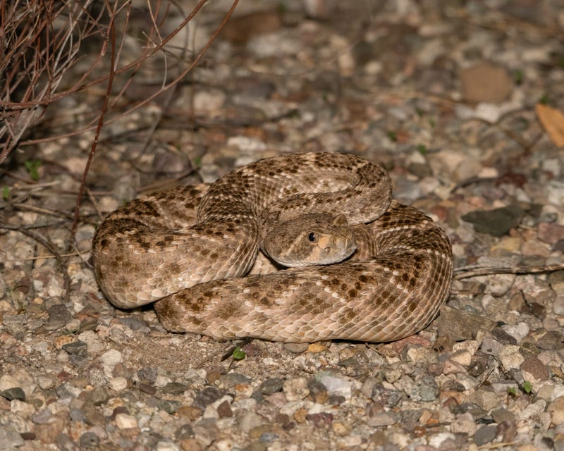 20250722-Sabino-12-Edit.jpg 20250722-Sabino-12-Edit.jpg