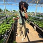 Growing Concerns's avatar