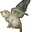 olive's avatar
