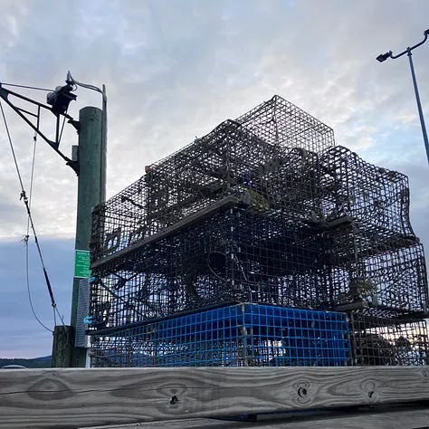 Lobster traps, Acadia National Park views