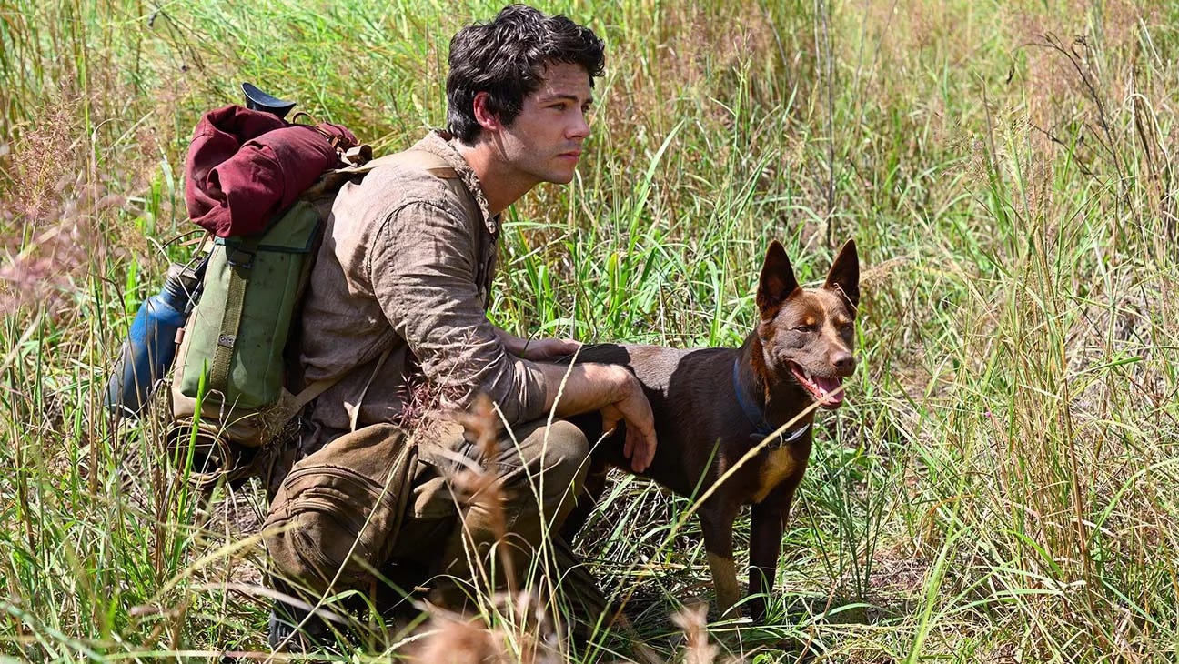 Dylan O’Brien as Joel in Love and Monsters