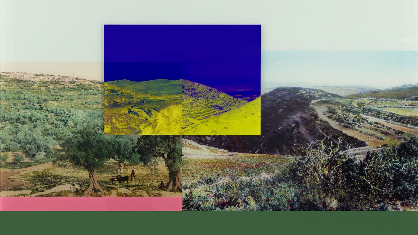 Borders are only in our minds 1 2023 Hazem Harb. best Palestinian Artists You Need To Know About october 7 Image may...