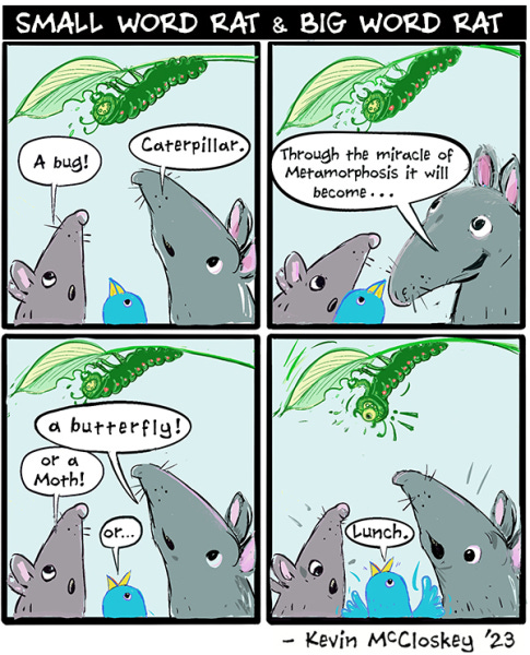 Small Word Rat sees a caterpillar eating a leaf above them and says A Bug! Big Word Rat calls it a caterpillar. Big Word explains that through metamorphisis it will become...a butterfly. Small Word Rat says it might be a moth. The blue bird says Lunch!