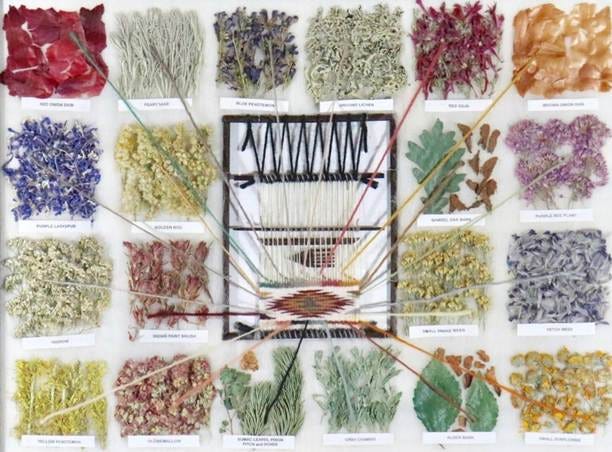 large_framed_vegetal_dye_chart_by_melissa_myers_acmem22-01