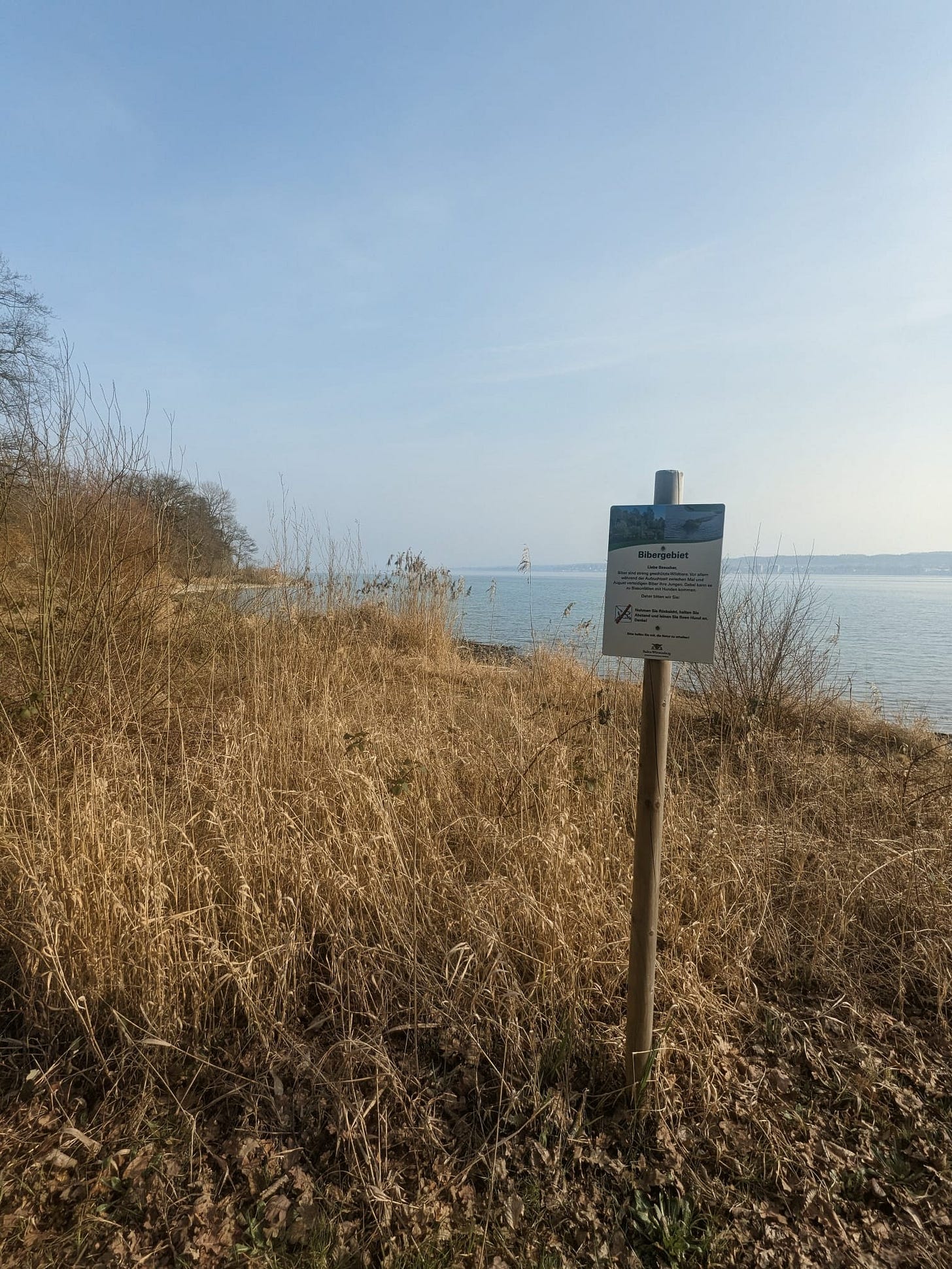 A picture of a beaver nest. The sign alerts the citizen not to go too close with the dog. A picture of a beaver nest. The sign alerts the citizen not to go too close with the dog.