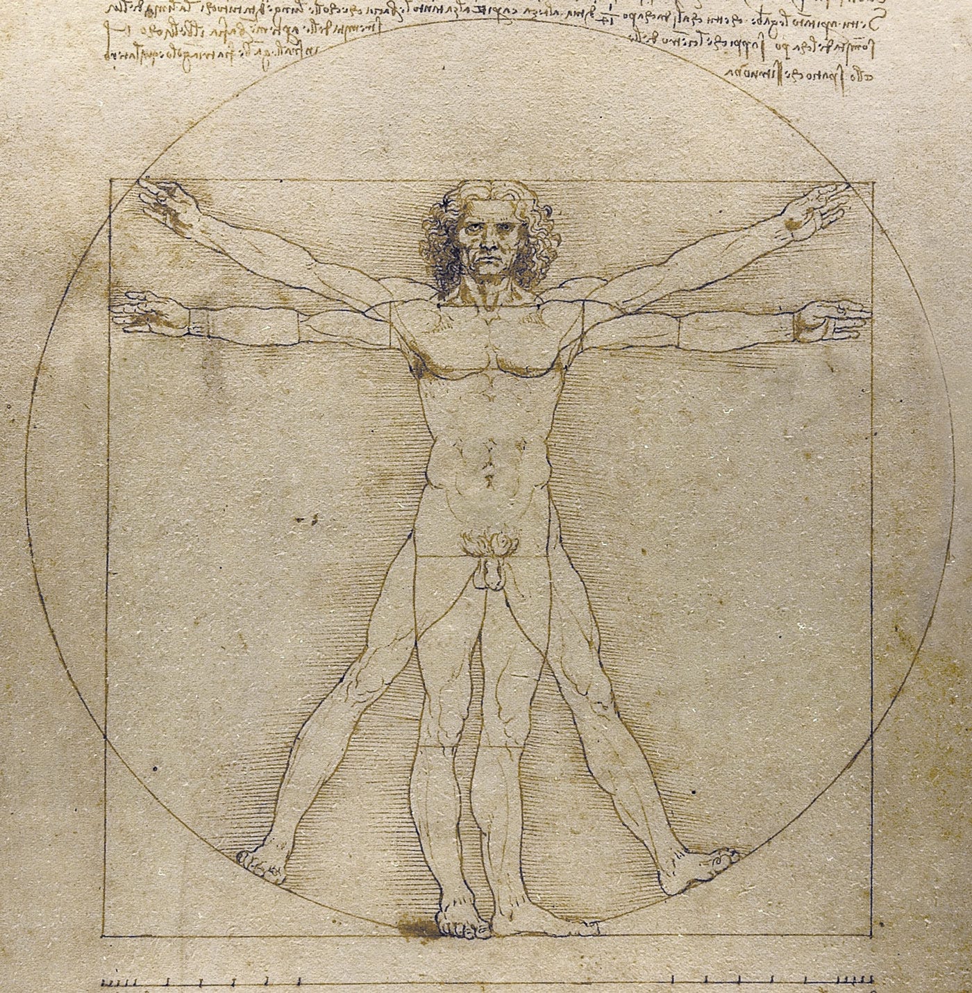 Study of the proportions of the human body, known as the Vitruvian Man.