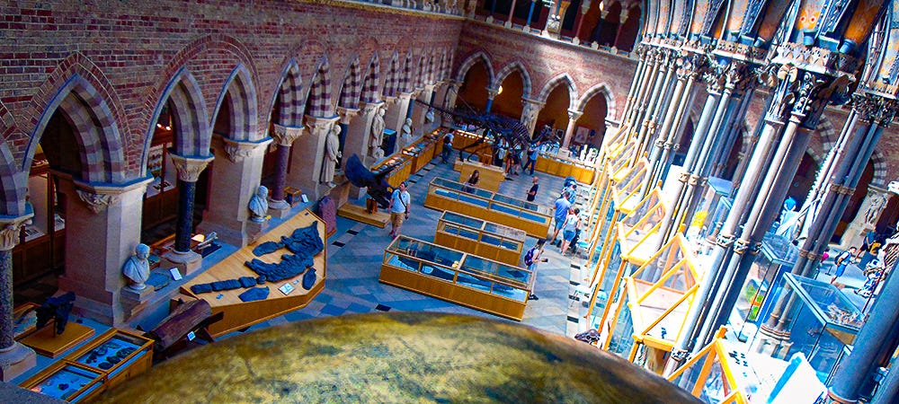 Oxford University Museum of Natural History