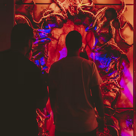 Pictures of the experience - What to do in Mexico City