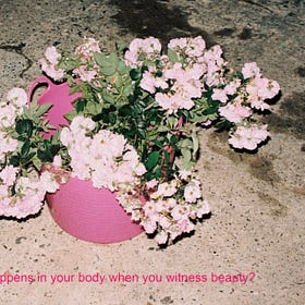 Why not make it beautiful?