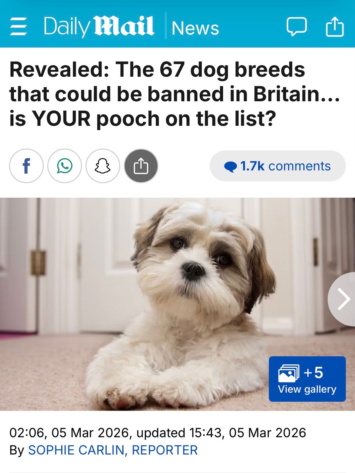 No, Britain Isn’t Banning 67 Dog Breeds - by Emma Monk