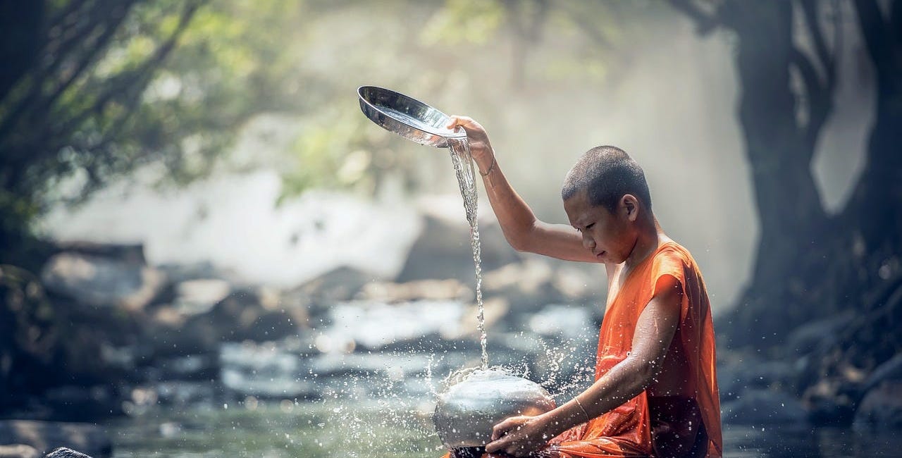 Scapegoat Healing Journey Part VIII