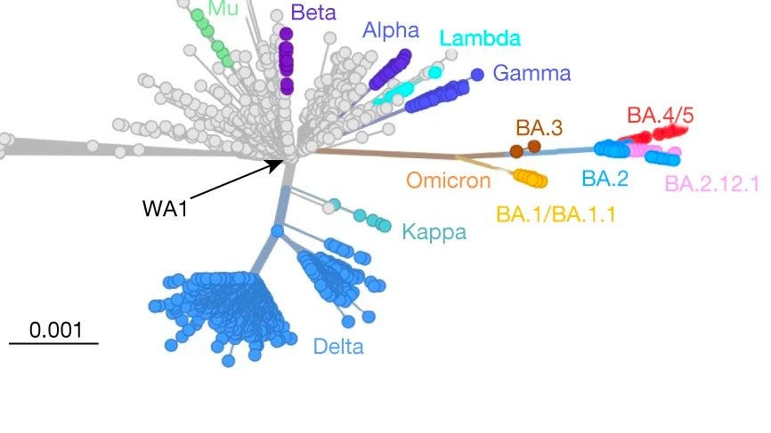 yourlocalepidemiologist.substack.com