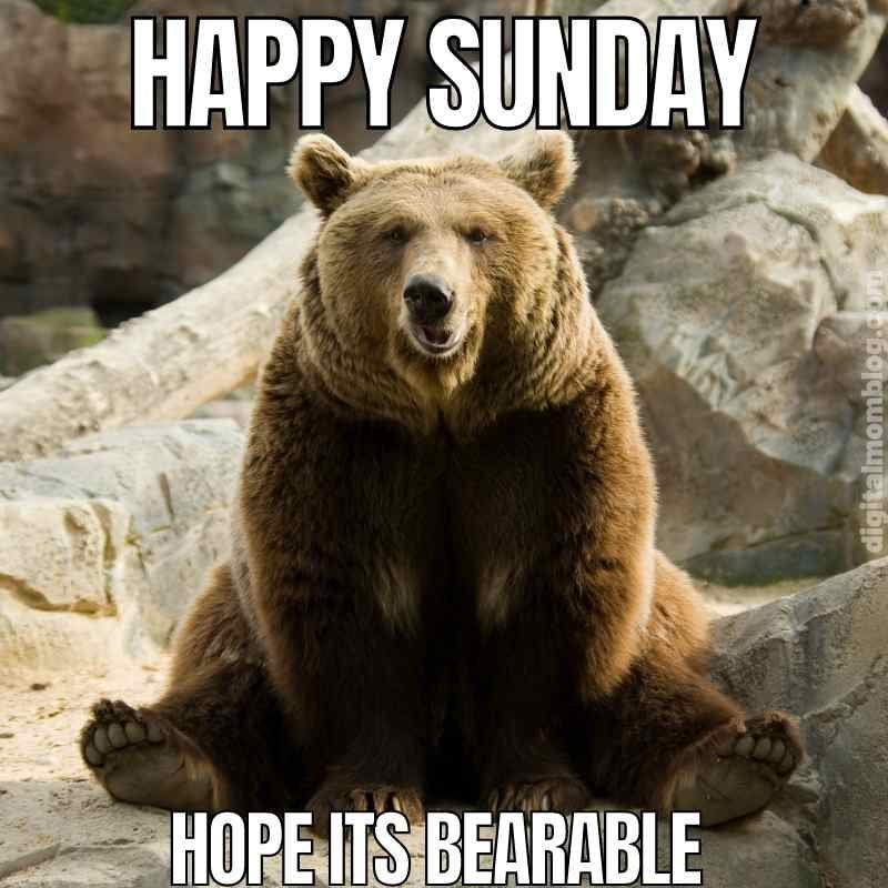 Sunday Memes - 30+ Funny Images To Start The Week