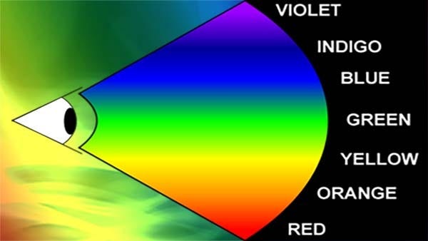 An illustration of an eye looking at the names of colours