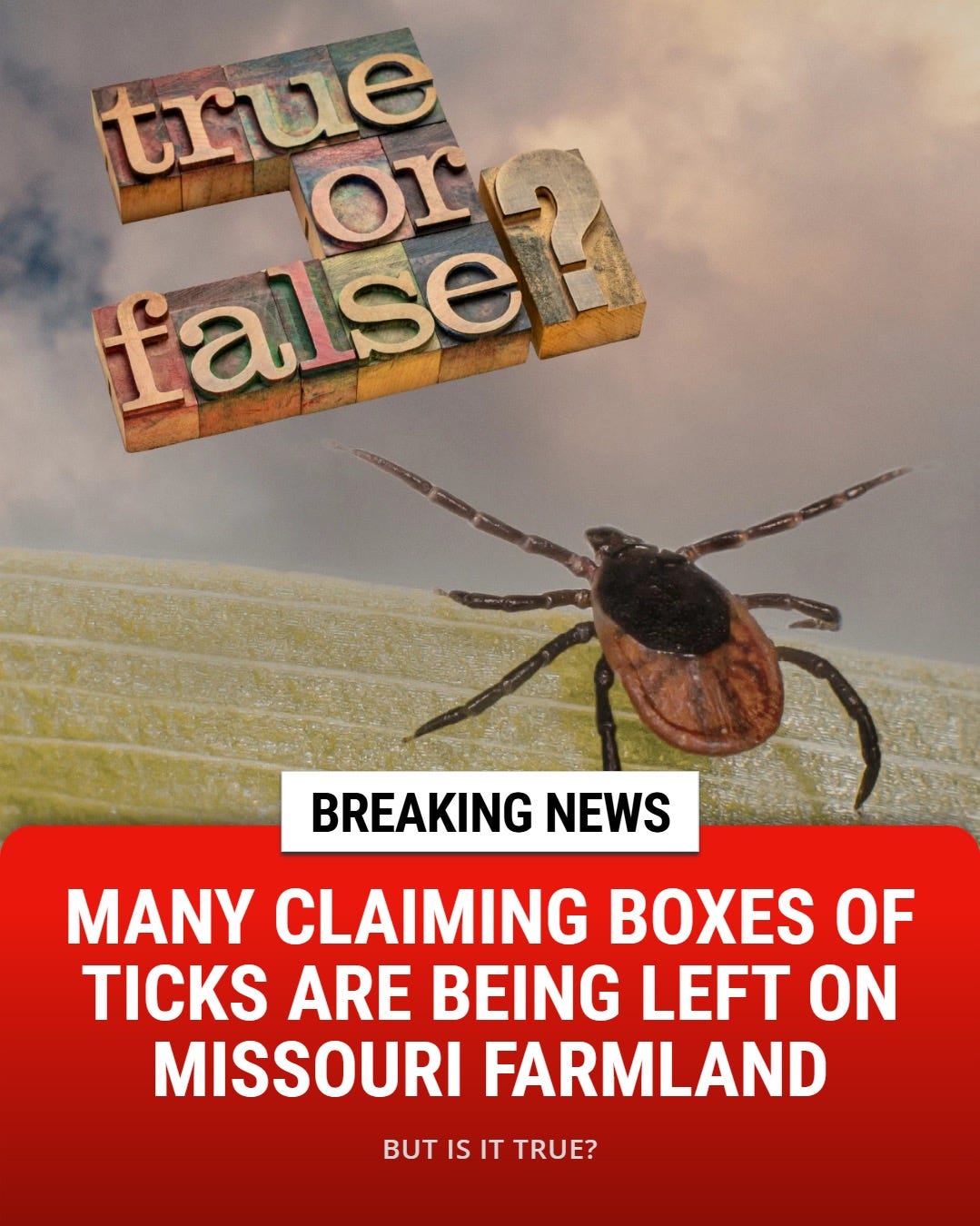 https://www.facebook.com/101TheEagle/photos/no-were-not-making-this-up-https101theeaglecommissouri-boxes-of-ticks/1557436416388085/ https://www.facebook.com/101TheEagle/photos/no-were-not-making-this-up-https101theeaglecommissouri-boxes-of-ticks/1557436416388085/