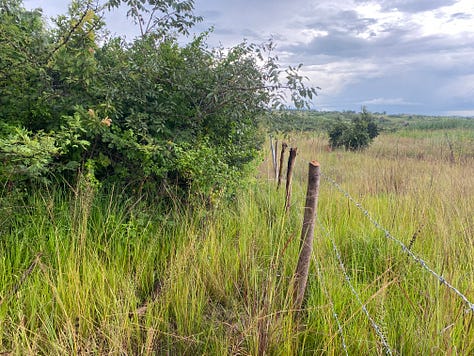 Some developments at the farm.