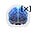 BrainXAI's avatar