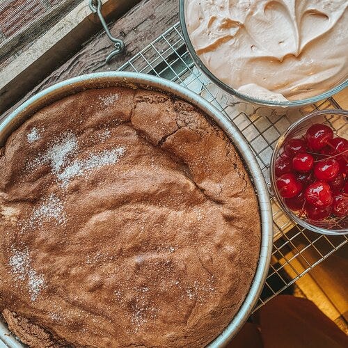 Crispy Chocolate Hazelnut Cake  (pg. 288, NF)