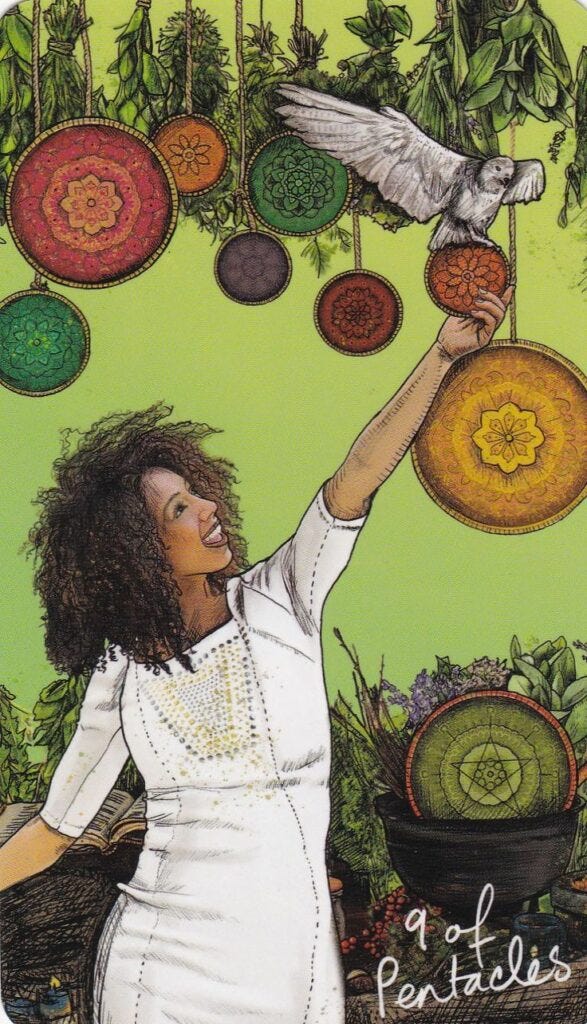 A Message from the Universe - 9 of Pentacles (reversed)