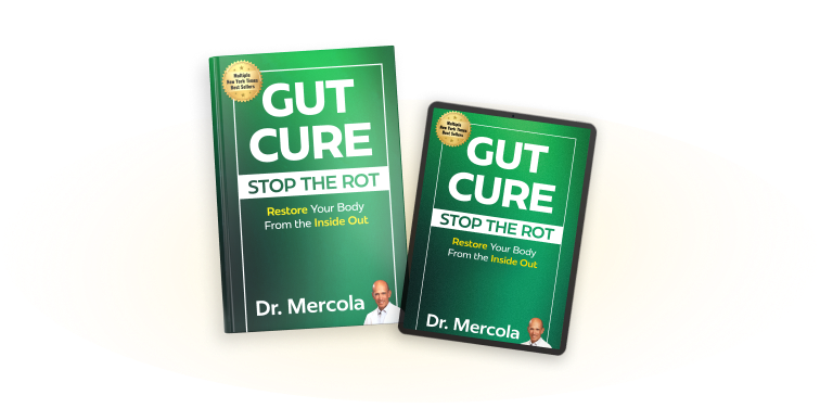 gut cure book