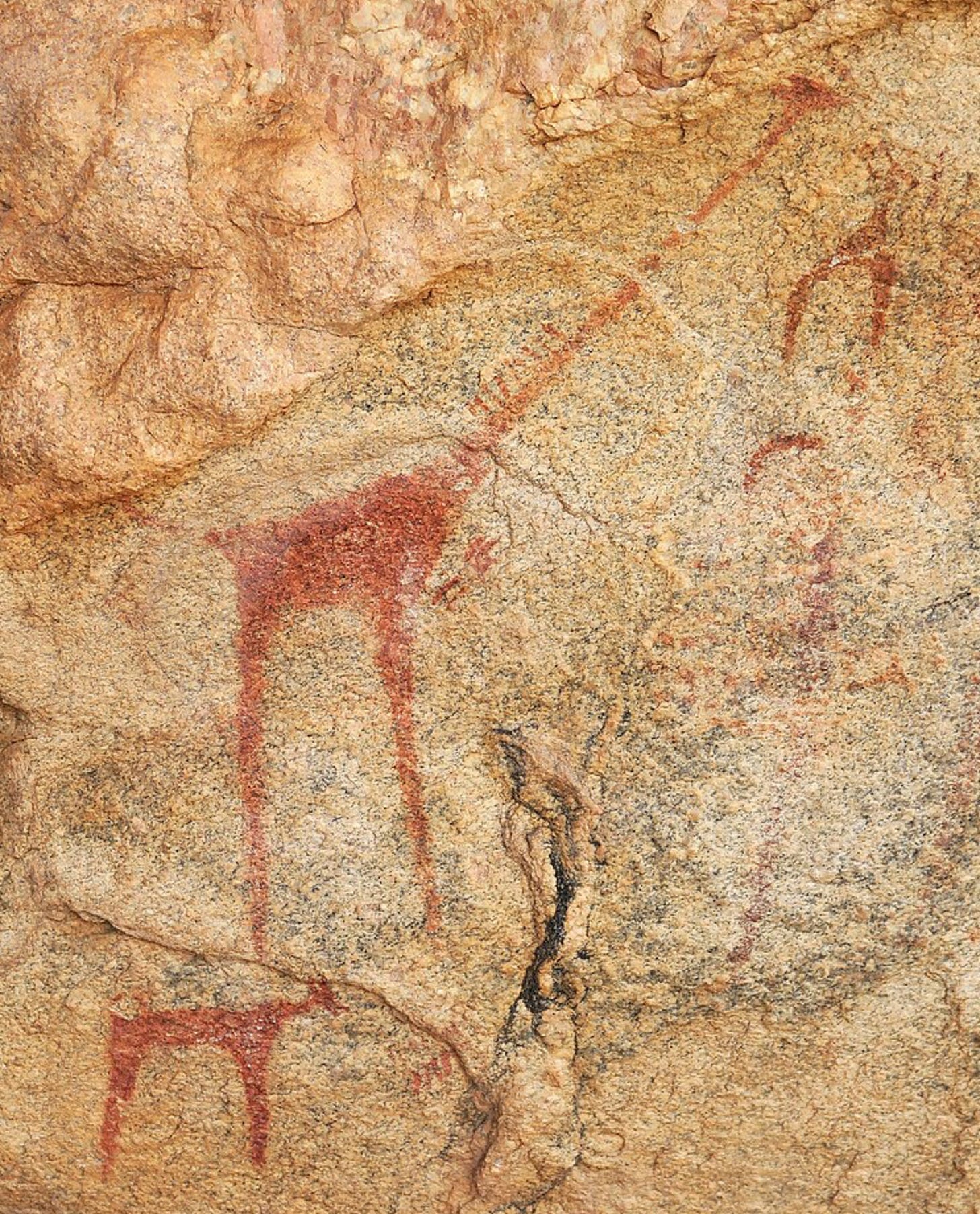 A cave painting of the giraffe, in which the giraffe's neck is given full credit and honour.