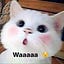 User's avatar
