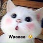 Giang Ha's avatar