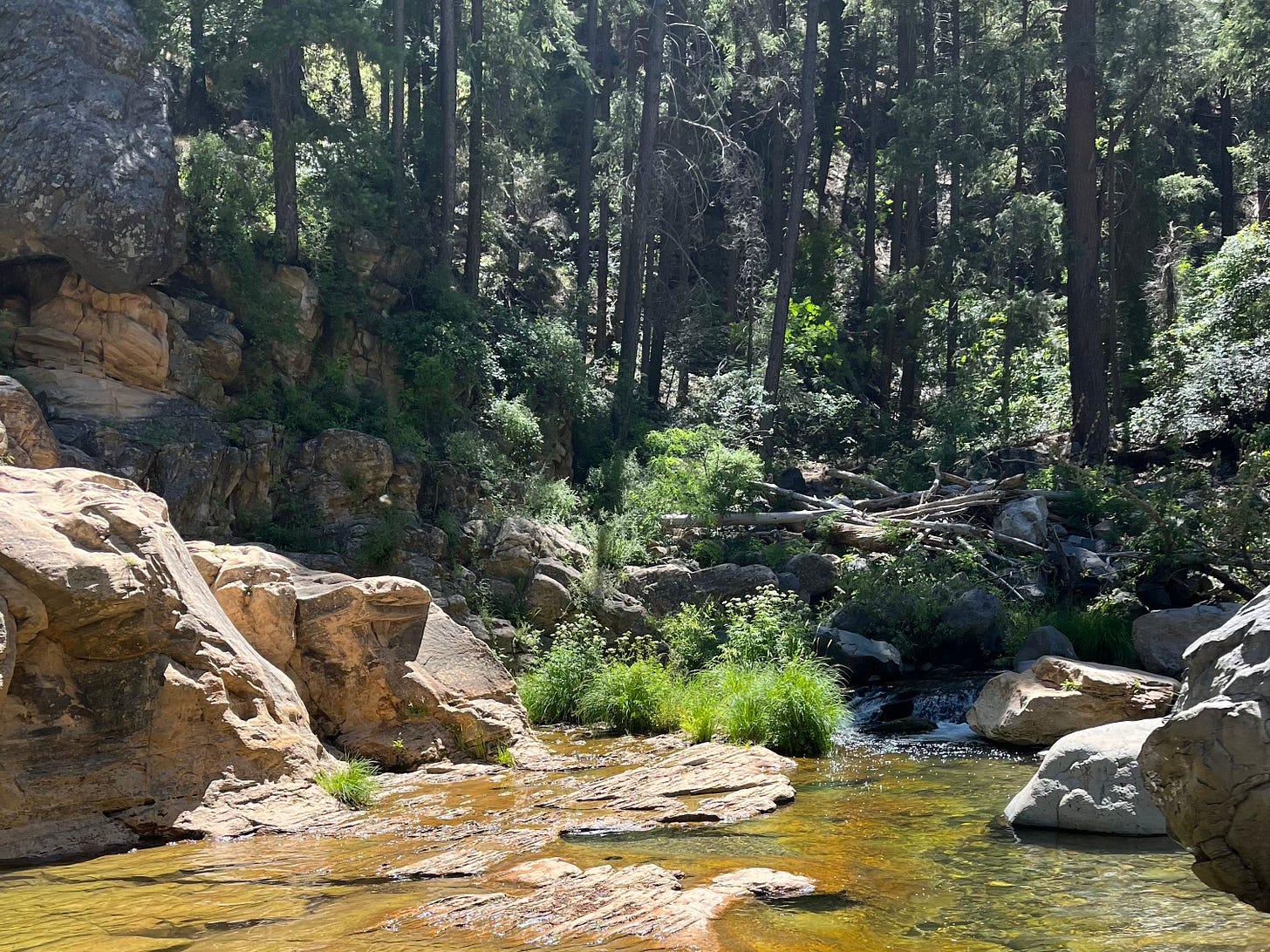 A shaded swimming hole along Oak Creek at Bootlegger in Oak Creek Canyon, a peaceful local alternative to Slide Rock.