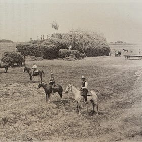 I like big ag and I cannot lie.