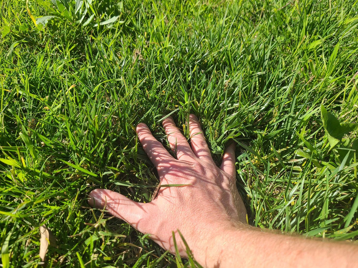 Touch Grass — The Assemblage of Areté