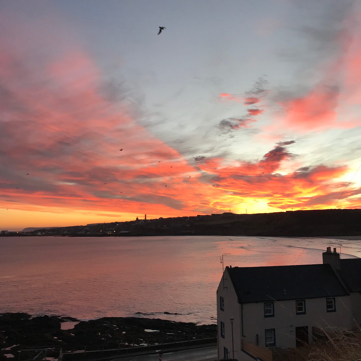 A sunrise over the north sea with bright pink clouds and the silhouette of gulls flying overhead