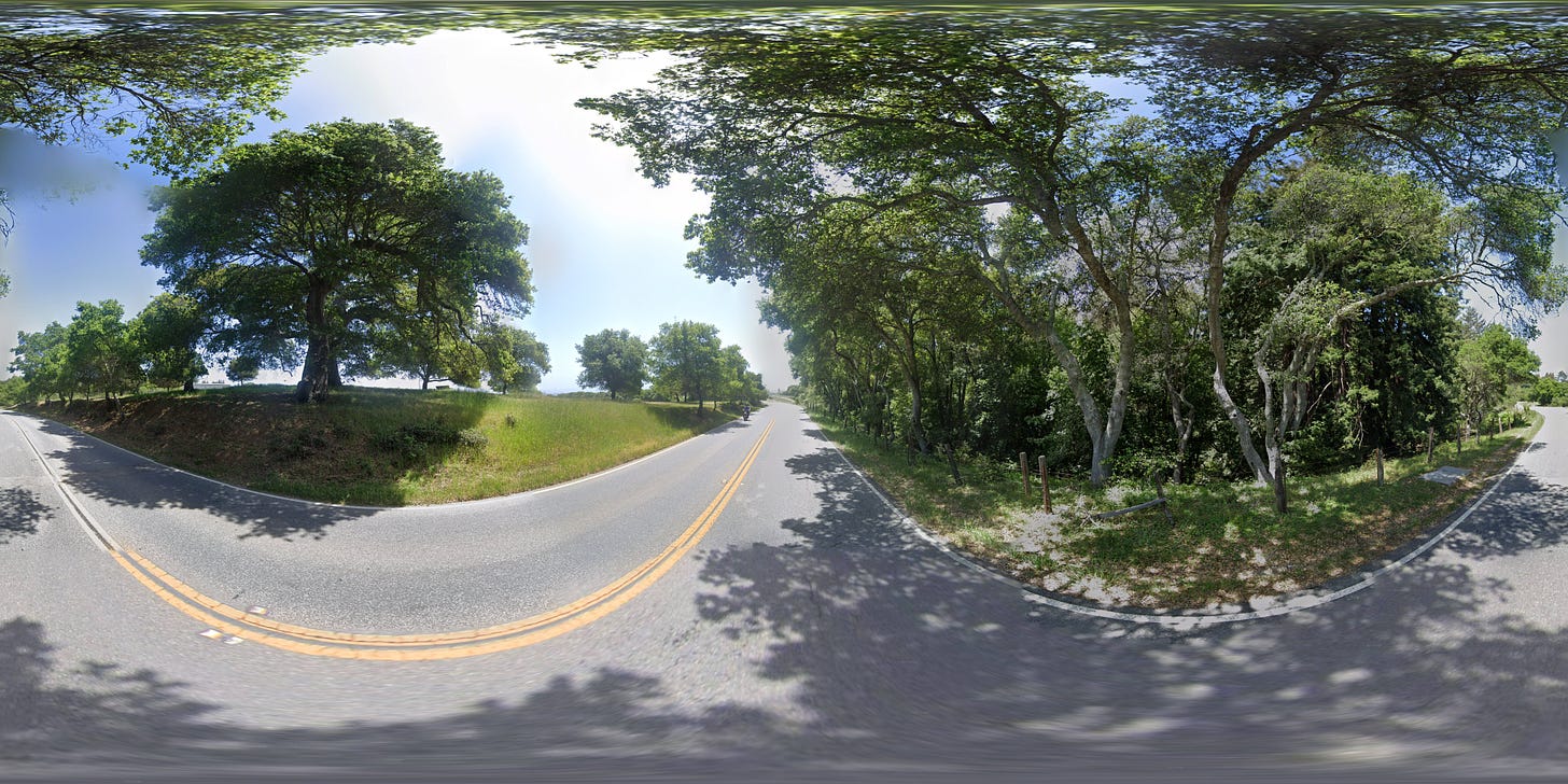 oak tree.jpg oak tree.jpg