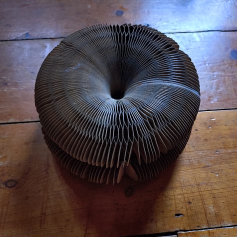 L-R A circular cat scratchy thing, a long thin scratchy thing, a rechargeable self-moving toy