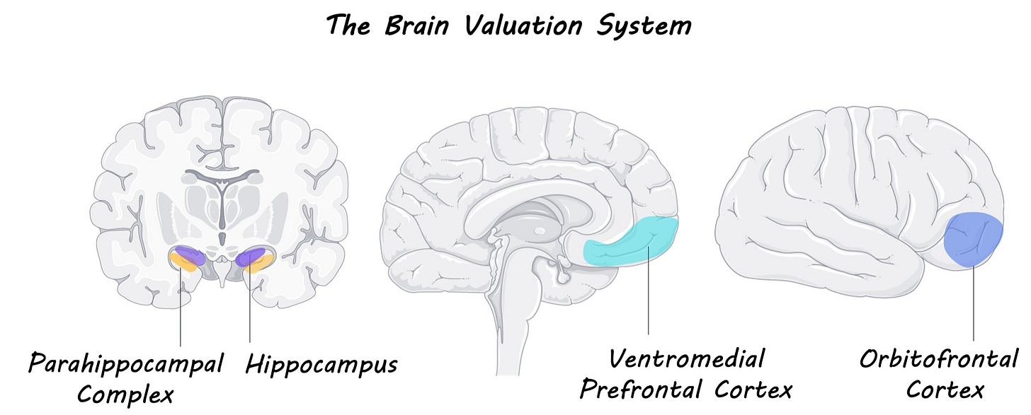 Characterizing the Neural Signature of Preferences — BrainPost | Easy-to-read summaries of the latest neuroscience publications Characterizing the Neural Signature of Preferences — BrainPost | Easy-to-read summaries of the latest neuroscience publications