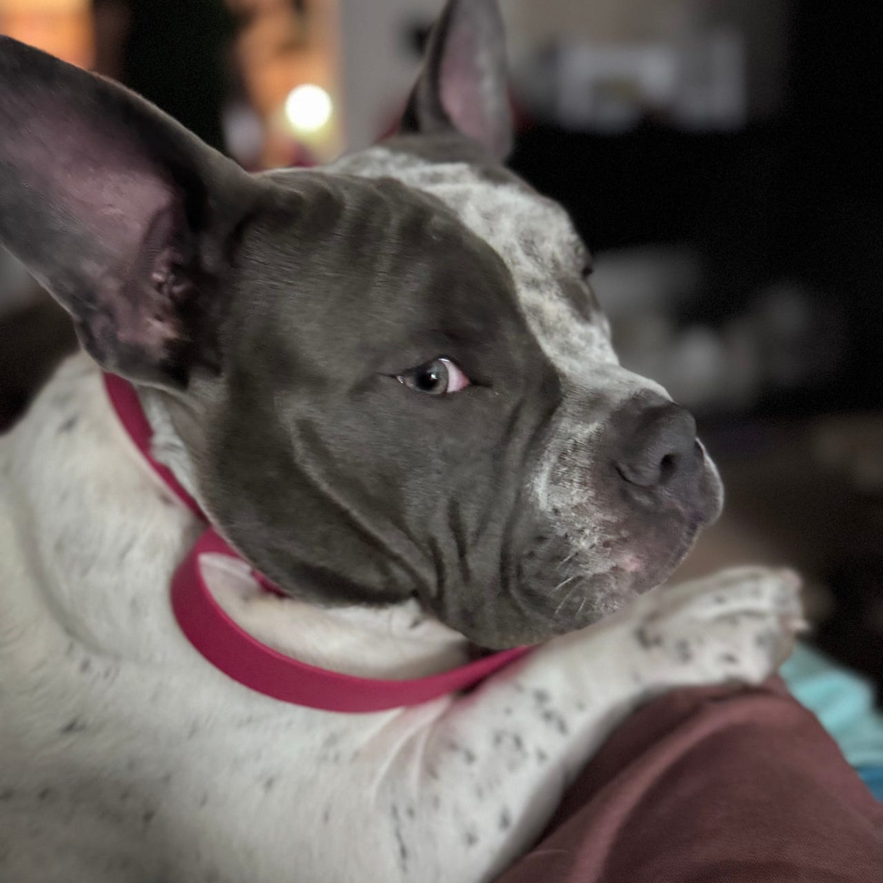 Just Another Day in Paradise